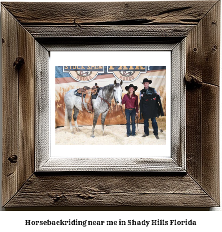 horseback riding near me in Shady Hills, Florida